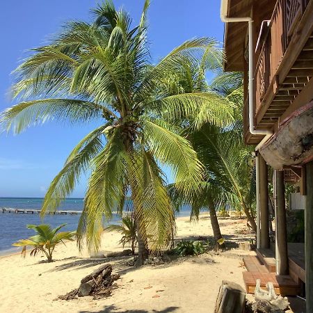 Reef Beach House - 2 Bedrooms Sandy Bay エクステリア 写真