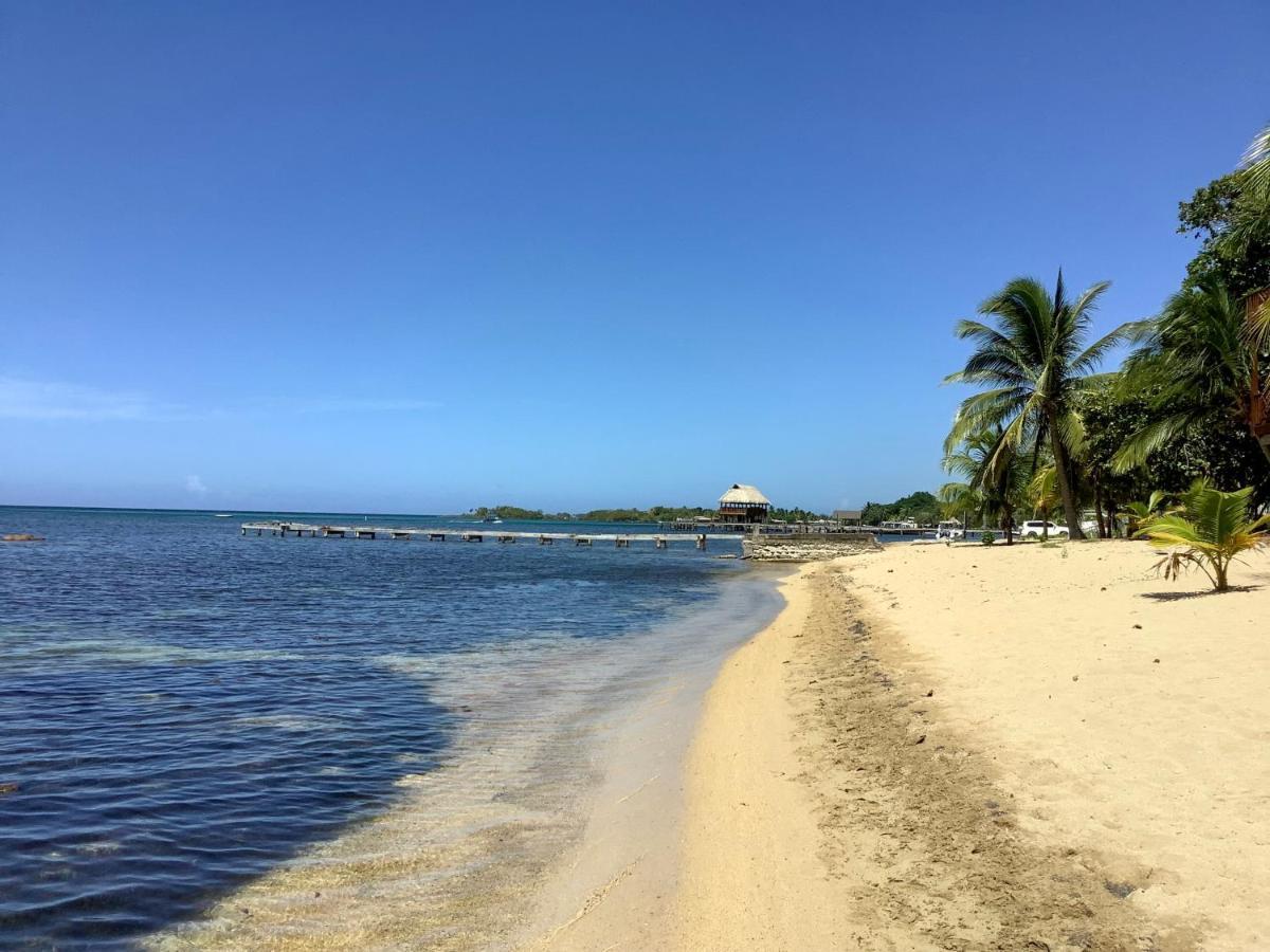 Reef Beach House - 2 Bedrooms Sandy Bay エクステリア 写真